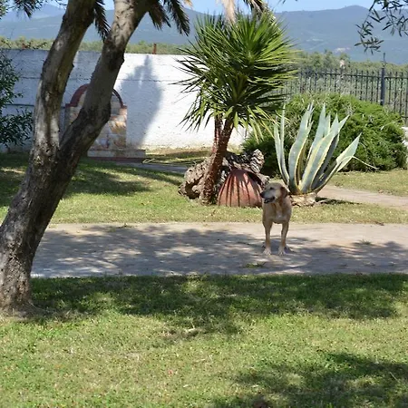 Villa Paramithi Ormília